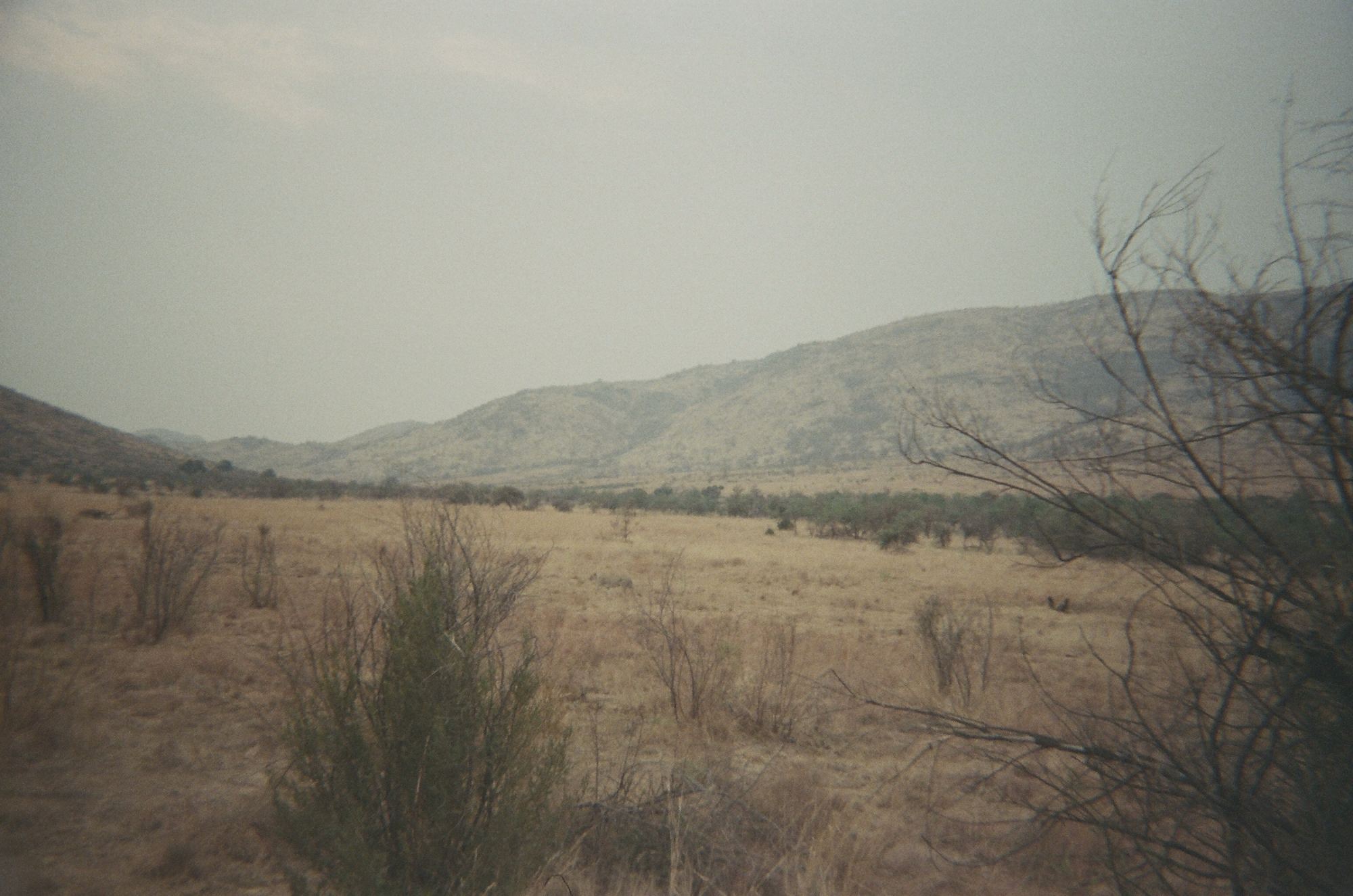 Dry grassland under a hazy sky